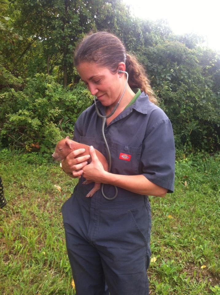 Holding a Piglet